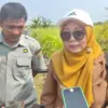 Kekeringan Landa 511 Hektare Lahan Pertanian di Batang, 153 Hektare Gagal Panen