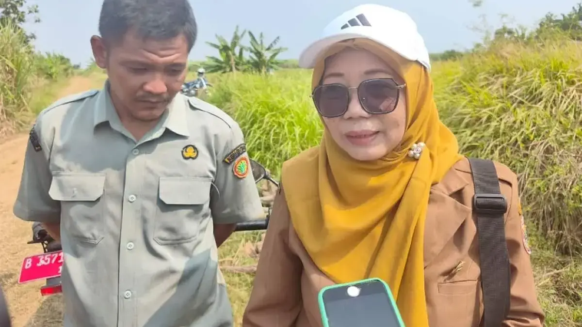 Kekeringan Landa 511 Hektare Lahan Pertanian di Batang, 153 Hektare Gagal Panen