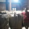 Modal Rp100 Juta dan Spekulasi Harga, Ini Tantangan Tengkulak Tembakau di Kendal