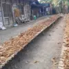 Musim Panen Tembakau, Dendeng Daun Bawah Tembus Rp15.000 per Kg