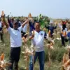 Panen Perdana 8 Ton Jagung, Lapas Kendal Cetak Warga Binaan Mandiri