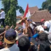 Peternak Kendal Bagikan 15.000 Ayam Gratis, Harga Pakan Meroket Telur Anjlok