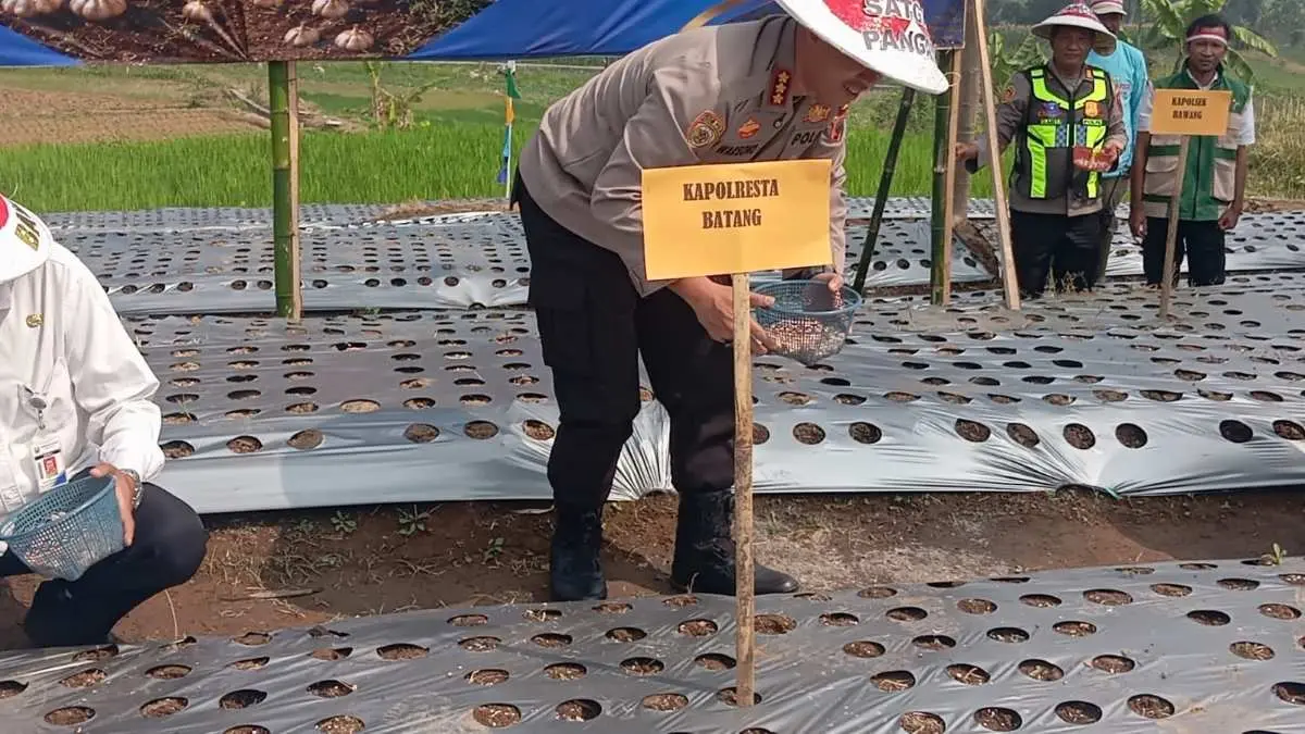 Polresta Batang Turun Tanam Bawang Putih di Bawang, Dukung Swasembada Pangan Nasional