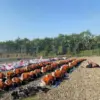 SD Muhammadiyah 1 Pekajangan Peringati Maulid dengan Susur Sungai dan Donasi