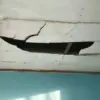 Belum Direnovasi Sejak 2008, Plafon SDN 2 Banyuurip Kendal Ambruk dan Ancam Keselamatan Siswa