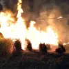 Dampak Super El Nino, Lahan Karet Seluas 1.000 Meter di Pageruyung Kendal Hangus Terbakar