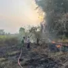 Diduga Berasal dari Pembakaran Sampah, Lahan Kosong di Perumahan Kajen Pekalongan Terbakar