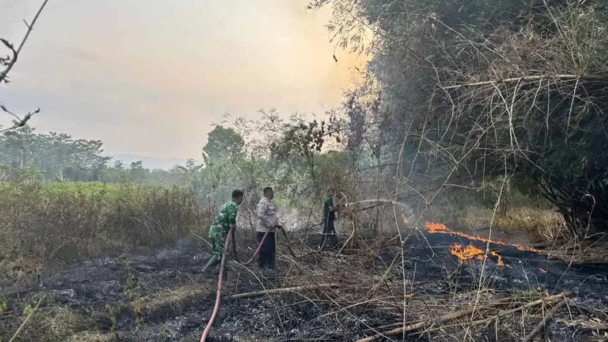 Diduga Berasal dari Pembakaran Sampah, Lahan Kosong di Perumahan Kajen Pekalongan Terbakar Diduga Berasal dari Pembakaran Sampah, Lahan Kosong di Perumahan Kajen Pekalongan Terbakar