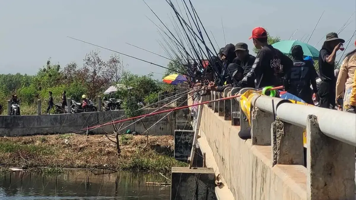 Diikuti 5.000 Peserta, Turnamen Mancing Wali Kota Pekalongan Championship 2026 Dibanjiri Angler Luar Kota Diikuti 5.000 Peserta, Turnamen Mancing Wali Kota Pekalongan Championship 2026 Dibanjiri Angler Luar Kota