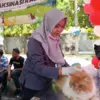 Dispaperta Batang Sediakan Vaksinasi Rabies Gratis, Cegah Penyakit Zoonosis Mematikan