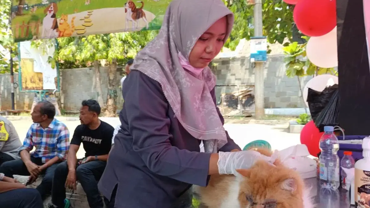 Dispaperta Batang Sediakan Vaksinasi Rabies Gratis, Cegah Penyakit Zoonosis Mematikan Dispaperta Batang Sediakan Vaksinasi Rabies Gratis, Cegah Penyakit Zoonosis Mematikan