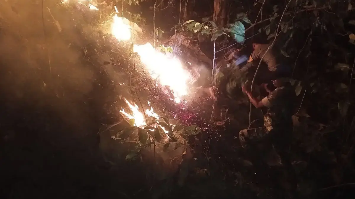 Hutan Jati Perhutani di Weleri Terbakar 1 Hektar, Petugas Gabungan Padamkan Api Pakai Alat Seadanya Hutan Jati Perhutani di Weleri Terbakar 1 Hektar, Petugas Gabungan Padamkan Api Pakai Alat Seadanya