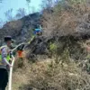 Kebakaran Hutan Pinus Perhutani di Pekalongan Hanguskan 4 Hektar Lahan, Polisi Sisir Titik Rawan Api