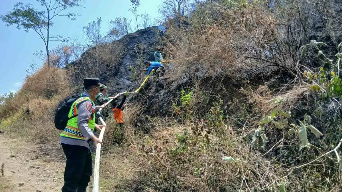 Kebakaran Hutan Pinus Perhutani di Pekalongan Hanguskan 4 Hektar Lahan, Polisi Sisir Titik Rawan Api
