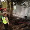 Limbah Kayu Lapuk TPK Perhutani Kajen Terbakar, Diduga Pemicunya Bekas Pembakaran Sampah