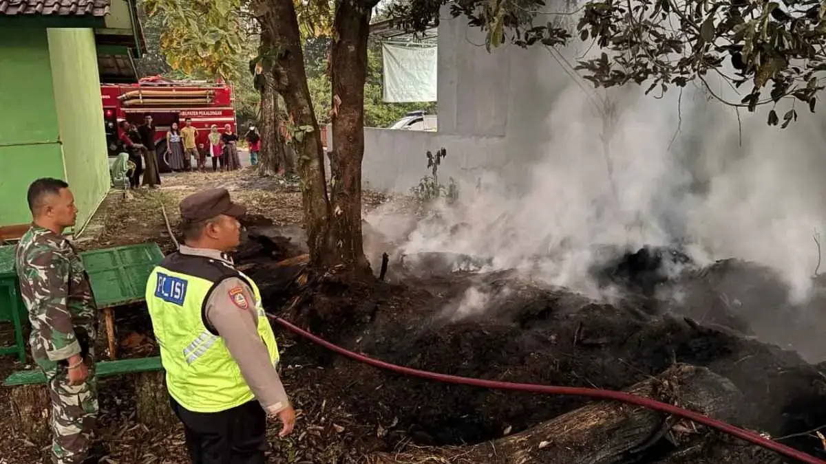 Limbah Kayu Lapuk TPK Perhutani Kajen Terbakar, Diduga Pemicunya Bekas Pembakaran Sampah Limbah Kayu Lapuk TPK Perhutani Kajen Terbakar, Diduga Pemicunya Bekas Pembakaran Sampah