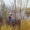 Marak Kebakaran di Batang, Petugas Pemadam Padamkan Tiga Titik Api dalam Sehari