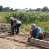 Perbaiki Akses Antardesa, Pemkab Kendal Beton 503 Meter Jalan Karangayu-Juwiring
