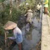 Petani DI Sragi Pekalongan Tolak Pengeringan Irigasi 1 Oktober 2026, Minta Dikaji Ulang