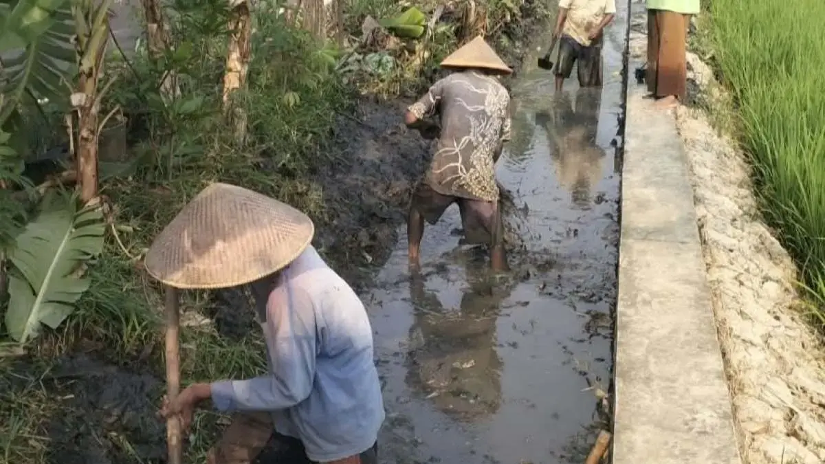 Petani DI Sragi Pekalongan Tolak Pengeringan Irigasi 1 Oktober 2026, Minta Dikaji Ulang Petani DI Sragi Pekalongan Tolak Pengeringan Irigasi 1 Oktober 2026, Minta Dikaji Ulang
