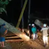 Pohon Lapuk Tumbang di Lebakbarang Pekalongan, Akses Jalan dan Listrik Sempat Lumpuh Total