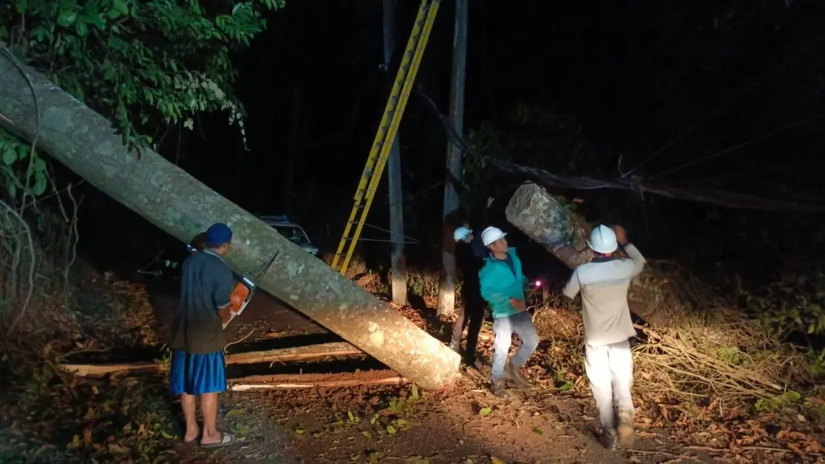 Pohon Lapuk Tumbang di Lebakbarang Pekalongan, Akses Jalan dan Listrik Sempat Lumpuh Total Pohon Lapuk Tumbang di Lebakbarang Pekalongan, Akses Jalan dan Listrik Sempat Lumpuh Total