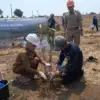 Pulihkan 650 Hektare DAS Bodri Kendal, PLN dan Pemkab Tanam 260 Ribu Pohon Penghijauan