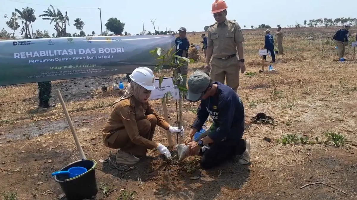 Pulihkan 650 Hektare DAS Bodri Kendal, PLN dan Pemkab Tanam 260 Ribu Pohon Penghijauan Pulihkan 650 Hektare DAS Bodri Kendal, PLN dan Pemkab Tanam 260 Ribu Pohon Penghijauan