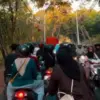 Sempitnya Jembatan Gembyang Picu Kemacetan Jalur Alternatif KITB Batang, Diusulkan Melebar 2027