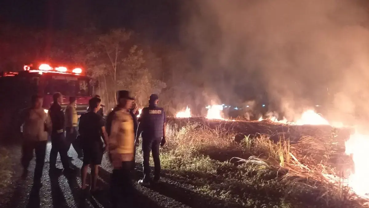 Sengaja Dibakar untuk Pembersihan Lahan, Bekas Kebun Tebu di Kebonagung Pekalongan Padam 30 Menit
