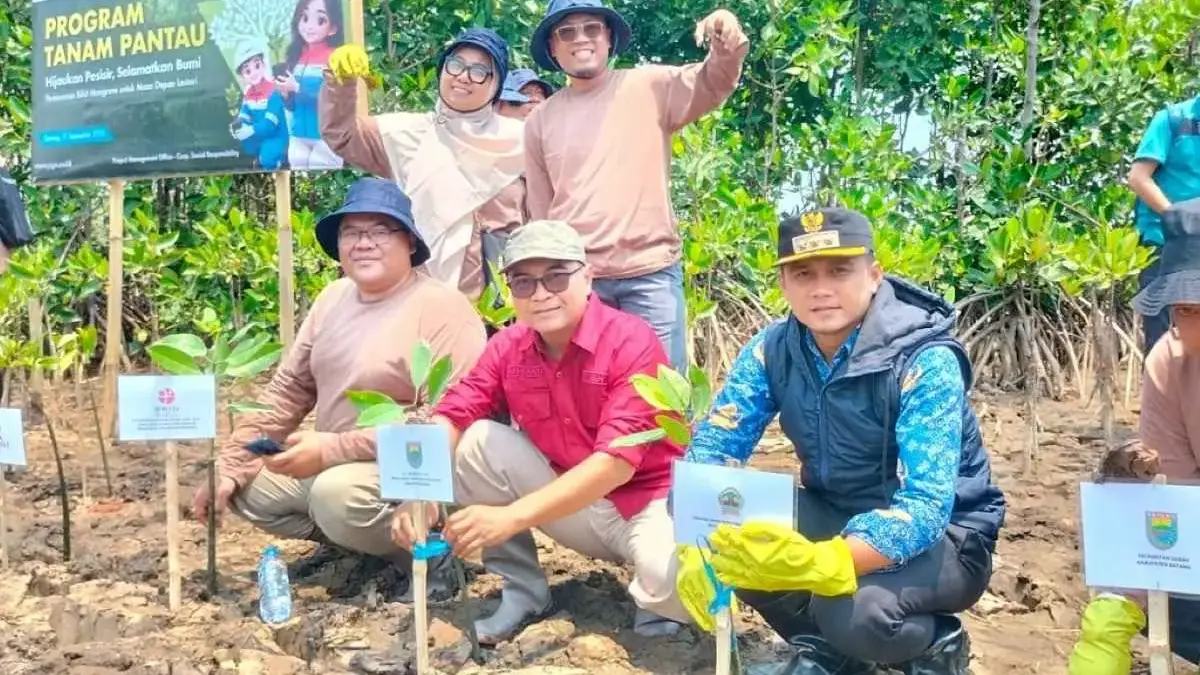 Tekan Abrasi Pesisir Pantura, 1.500 Mangrove Ditanam di Pantai Kuripan Subah Batang Tekan Abrasi Pesisir Pantura, 1.500 Mangrove Ditanam di Pantai Kuripan Subah Batang