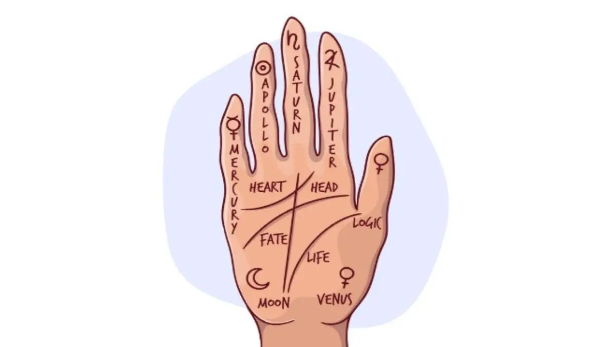 Cara Membaca Garis Tangan untuk Mengenali Maknanya Menurut Palmistry! Pelajari Langkah dan Tafsirannya Cara Membaca Garis Tangan