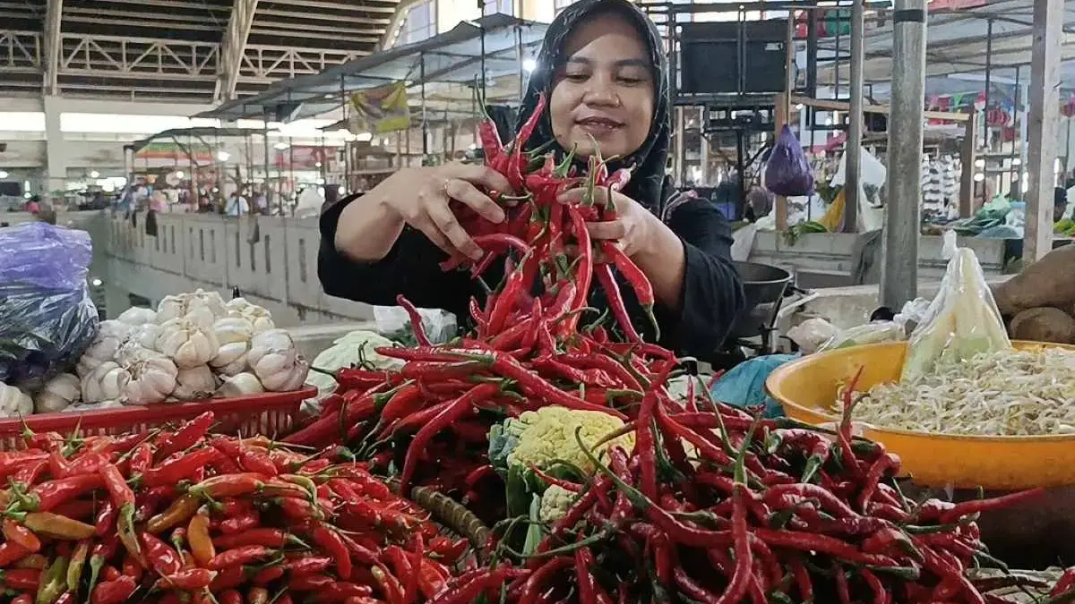 Dampak Kemarau Panjang di Batang, Harga Cabai Merangkak Naik dan Kualitas Panen Turun