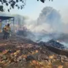 Diduga akibat Pembakaran Sampah, Halaman Gudang Rongsok di Noyontaansari Pekalongan Terbakar