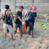 Hilang Tiga Hari, Lansia di Patebon Kendal Ditemukan Meninggal Dunia di Area Persawahan