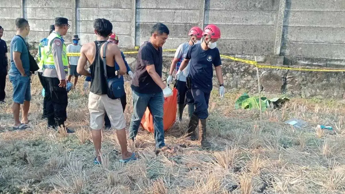 Hilang Tiga Hari, Lansia di Patebon Kendal Ditemukan Meninggal Dunia di Area Persawahan Hilang Tiga Hari, Lansia di Patebon Kendal Ditemukan Meninggal Dunia di Area Persawahan