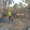 Kebakaran Lahan Bekas Pabrik Pilus di Pekalongan Resahkan Warga, Api Padam dalam 1,5 Jam