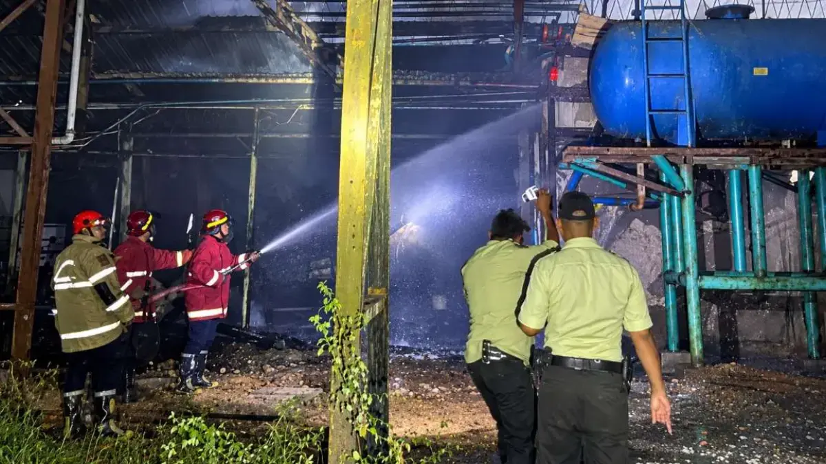 Pabrik PT Kayu Lapis Indonesia di Kendal Terbakar, Api Diduga Muncul dari Korsleting Listrik Pabrik PT Kayu Lapis Indonesia di Kendal Terbakar, Api Diduga Muncul dari Korsleting Listrik