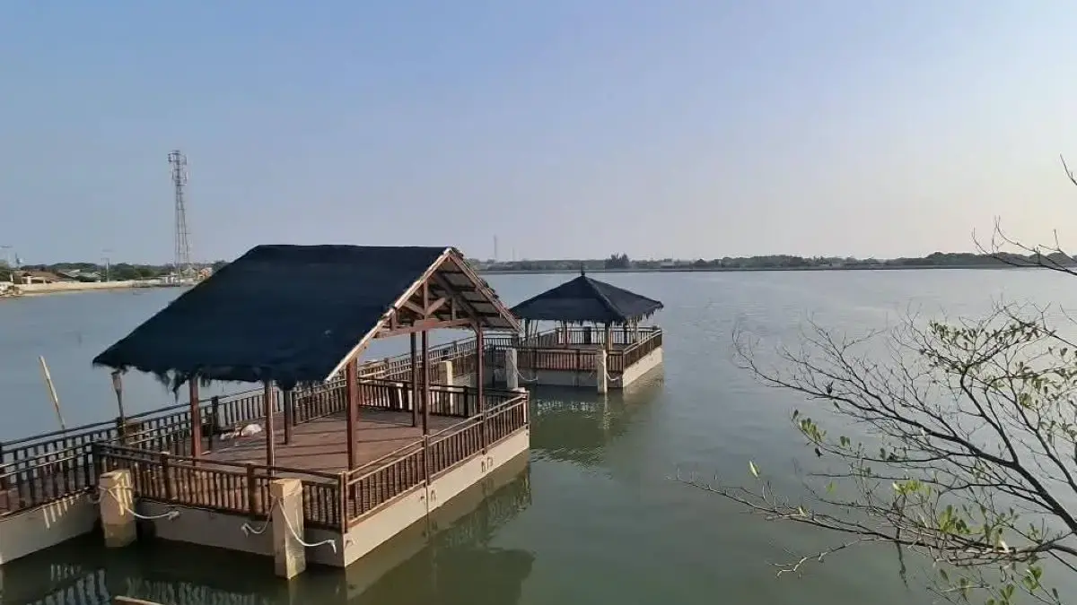 Pekalongan Mangrove Park dan Degayu Dikembangkan Jadi Eduwisata Pesisir Beranggaran Rp 5 Miliar