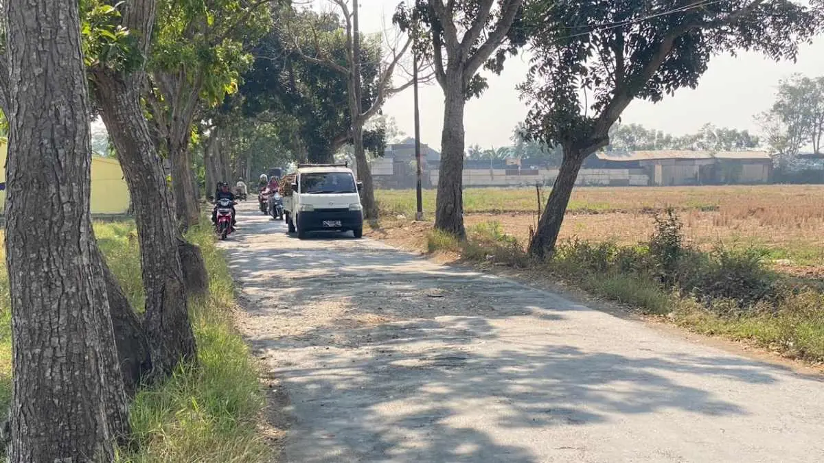 Pemkab Batang Siapkan Rp 3,8 Miliar untuk Perbaiki Dua Ruas Jalan Rusak di Kandeman Pemkab Batang Siapkan Rp 3,8 Miliar untuk Perbaiki Dua Ruas Jalan Rusak di Kandeman
