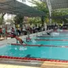 Penjaringan Atlet Usia Dini, Kejuaraan Renang Antar Sekolah Batang Gaet Perenang 4 Daerah