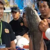 Ribuan Pemancing Serbu Kali Aji Brangsong Kendal, Berburu Ikan Monster demi Sepeda Listrik