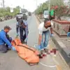 Tabrak Taman Pembatas Jalan Pantura Bugangin Kendal, Pengendara Scoopy Meninggal Dunia