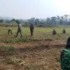 Tak Hanya Infrastruktur, Satgas TMMD Batang Olah Lahan Pertanian Jagung di Desa Sembung