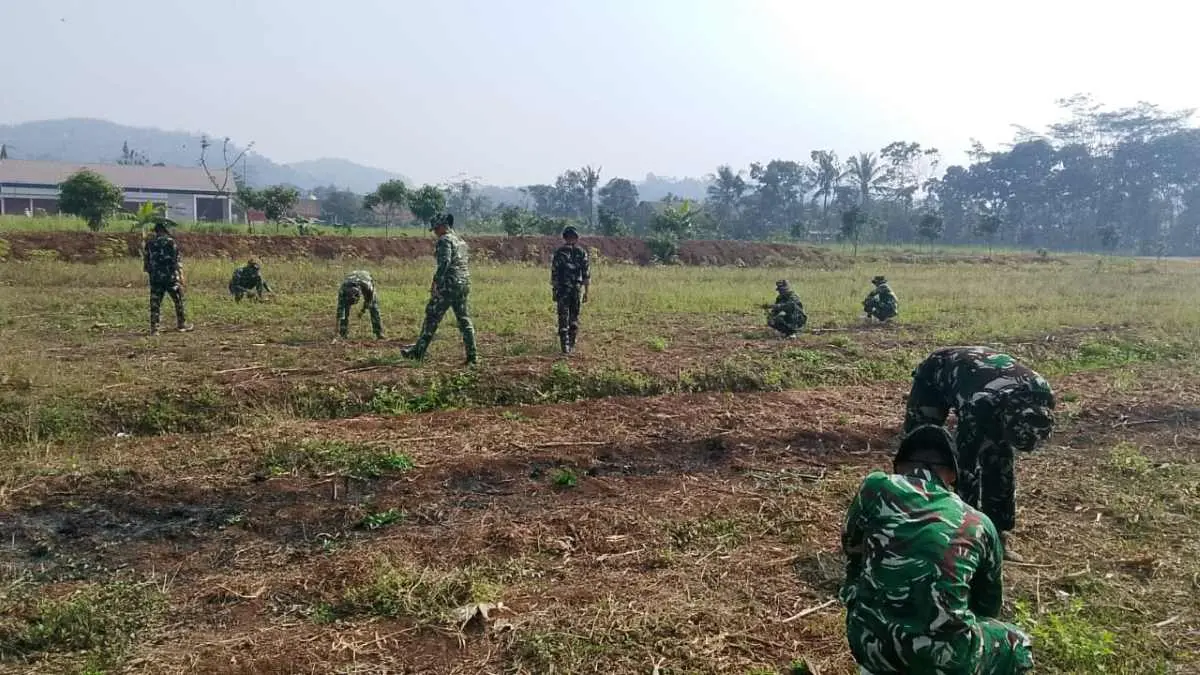 Tak Hanya Infrastruktur, Satgas TMMD Batang Olah Lahan Pertanian Jagung di Desa Sembung Tak Hanya Infrastruktur, Satgas TMMD Batang Olah Lahan Pertanian Jagung di Desa Sembung