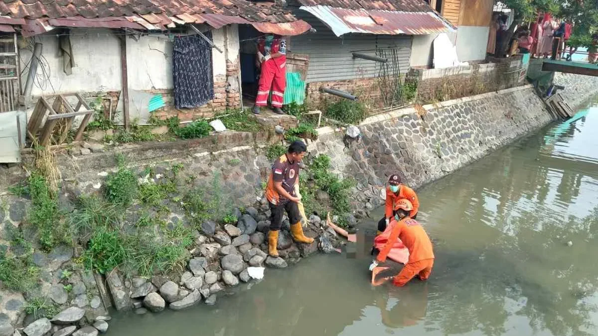 Teriakan Anak Sekolah Bongkar Penemuan Kakek 77 Tahun Tewas Mengapung di Sungai Langenharjo Kendal