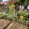 Wujudkan Sekolah Iklim, SMAN 4 Pekalongan Ajak Siswa Budidaya Sayur Organik Pakai Pupuk Mandiri